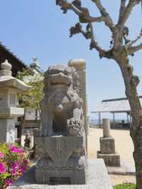 【兵庫/西宮】神を呪う寺…⛩️？！