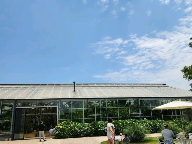 제주 온실 망고카페 - 웨스트그라운드