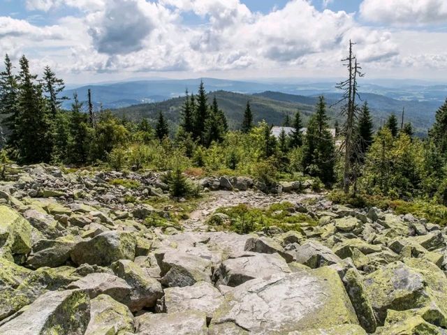 Bavarian Forest National Park – Germany’s First Wilderness Sanctuary