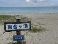【鹿児島】与論島映えスポットへGO📷