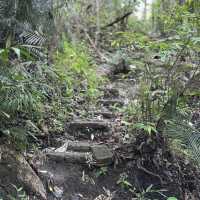 DETAILED EXPERIENCE: SPARTAN TRAIL CEBU