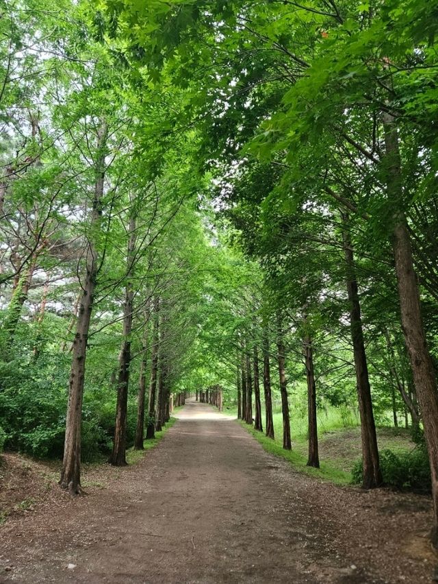 인천대공원 완벽 가이드 🚲🐾