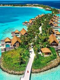 🌺 Waldorf Astoria Maldives Ithaafushi – Your Private Island Fantasy 🐬🌅