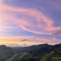 La Montagne ดอยช้าง✨⛰️