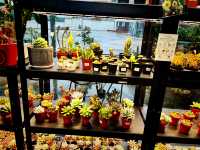 A Little Green Joy at Gurney Paragon Mall