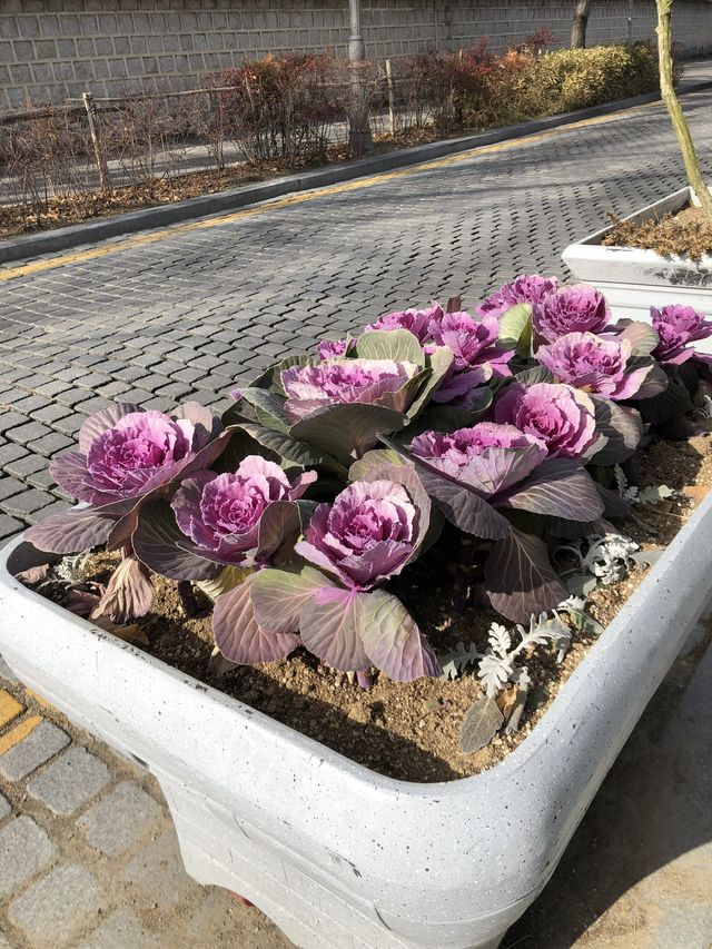 The morning at Jeonju Hanok Village