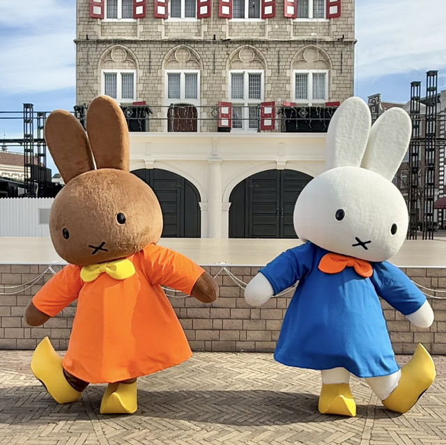 可愛いミッフィーたくさん⁉️運が良ければ会えちゃう