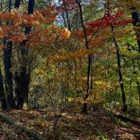 Getting Lost (In the Best Way) at Juwangsan National Park