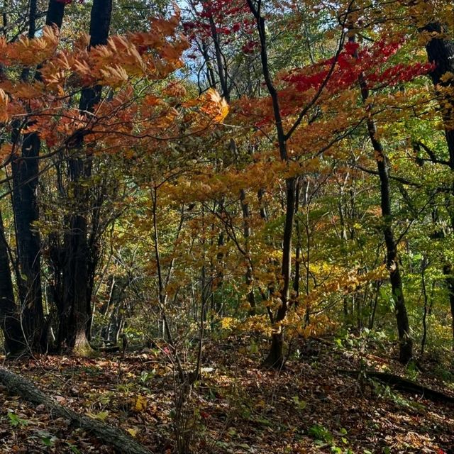 Getting Lost (In the Best Way) at Juwangsan National Park