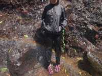 Breathtaking view of East Java