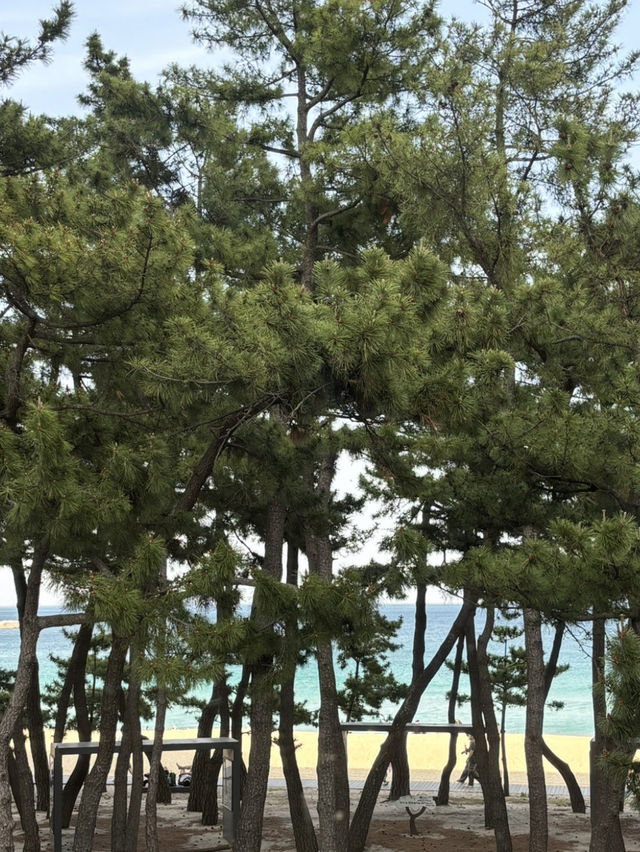 강릉 바다뷰 횟집은 여기지!!