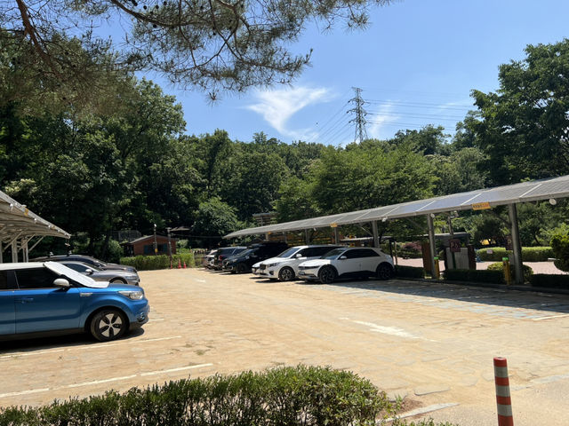강동 그린웨이 가족 캠핑장