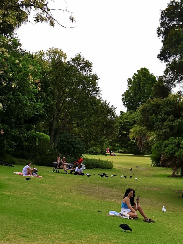 ออสเตรเลีย🇦🇺