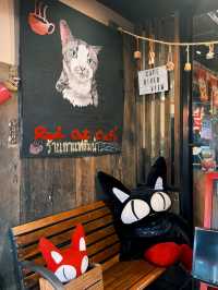 ☕ : Red Cat Cafe. คาเฟ่ฉะเชิงเทรา