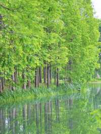 A Community Sports & Nature Hub – Minhang Sports Park, Shanghai