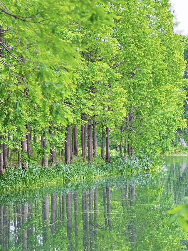 A Community Sports & Nature Hub – Minhang Sports Park, Shanghai
