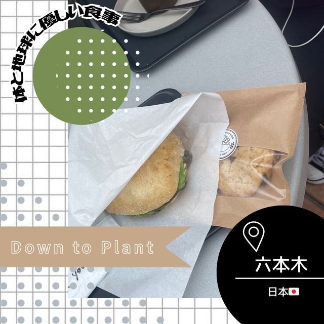【東京/六本木🇯🇵】身体と地球に優しい食事🌎Down to Plant