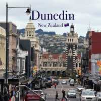 Dunedin: The South Island's Hidden Gem City! 💎✨