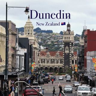 Dunedin: The South Island's Hidden Gem City! 💎✨