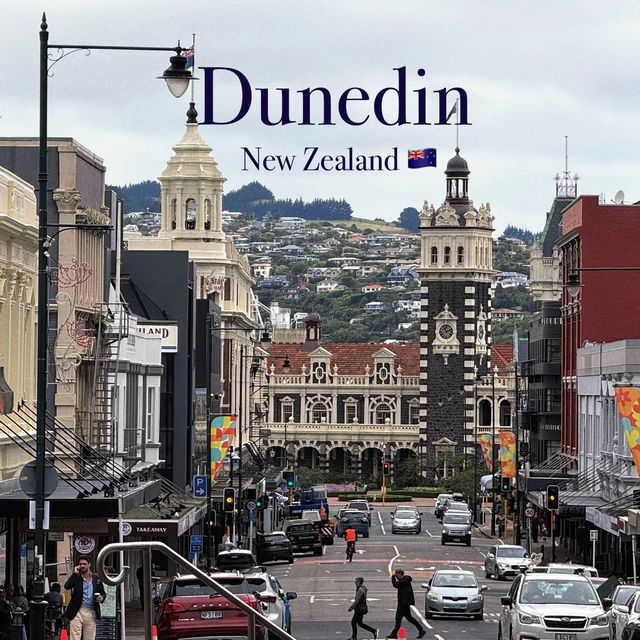 Dunedin: The South Island's Hidden Gem City! 💎✨