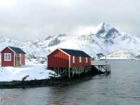 Unforgettable Days in Lofoten Islands