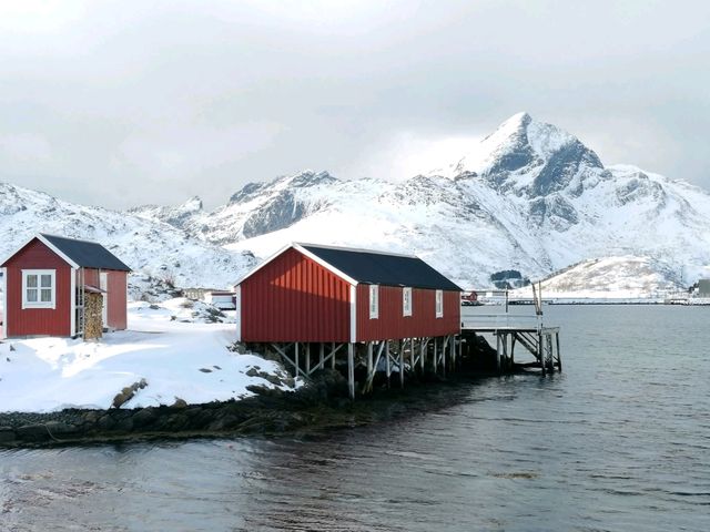 Unforgettable Days in Lofoten Islands