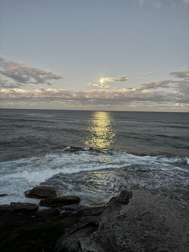 8 days in Sydney!