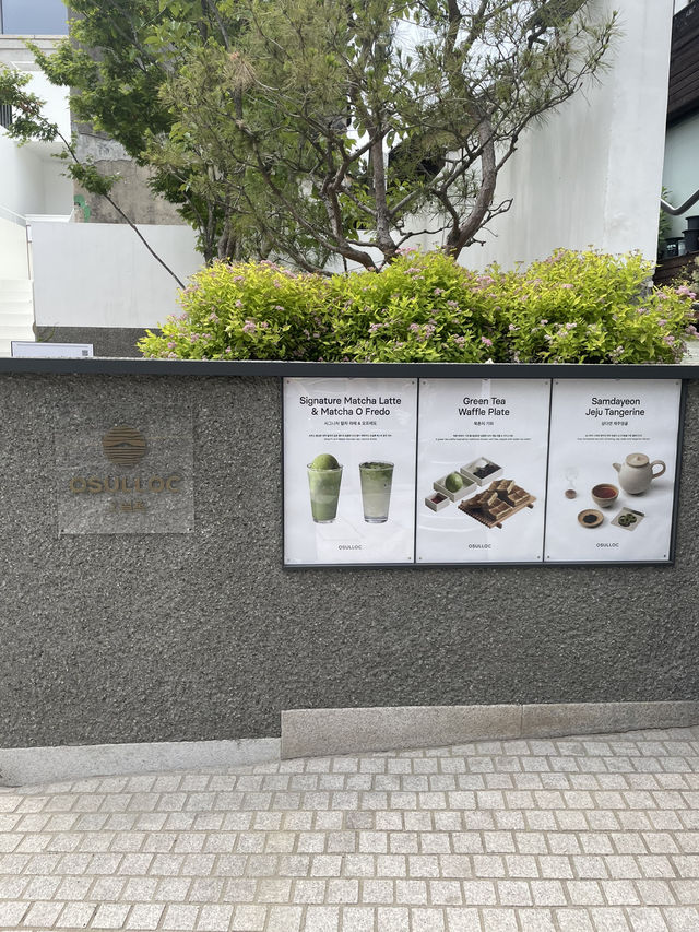 【🇰🇷安国】広々モダンカフェ🌿Osulloc Tea House🍵