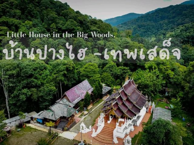 🌿ปางไฮ - ท่าเสด็จ เชียงใหม่ ฉบับหน้าฝน ☔
