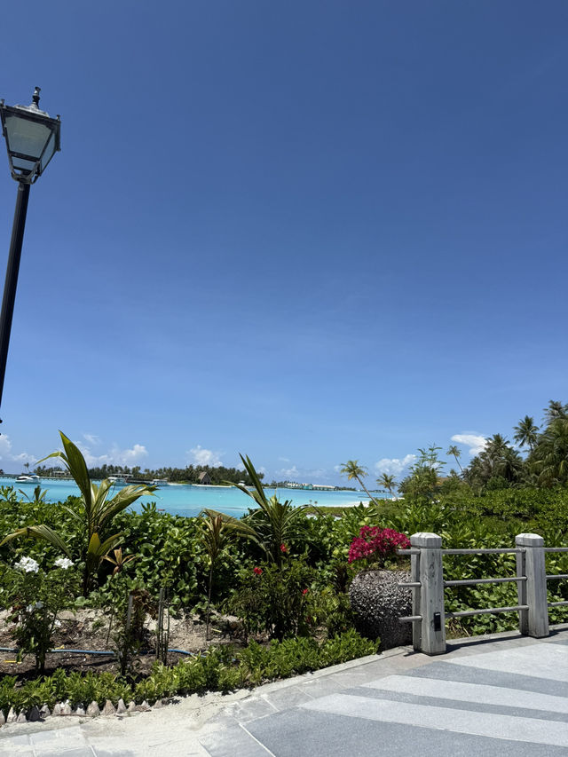 馬爾代夫的硬石酒店（Hard Rock Hotel Maldives）