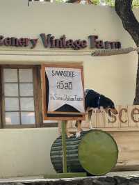 ชมโชว์สัตว์ที่ the scenery vintage farm ราชบุรี