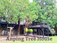 Anping Tree House ประวัติศาสตร์กับธรรมชาติ✨️