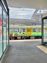 마쓰야마 입성의 시작! JR 松山駅에서 만나는 여행 첫 순간🚉