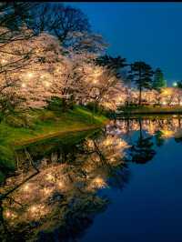 四季が彩る歴史の庭。高田城址公園で静かな時間を🌸