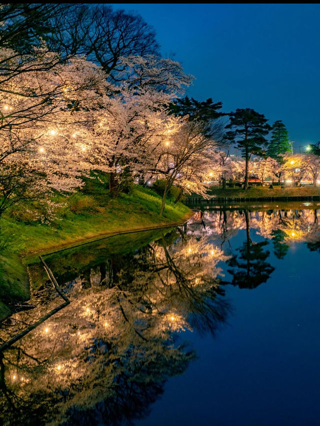 四季が彩る歴史の庭。高田城址公園で静かな時間を🌸