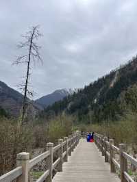 Where waterfalls sing and lakes mirror the sky: Discover Jiuzhaigou