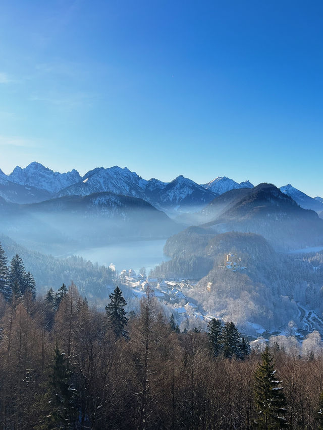 🇩🇪德國必去景點🏰 Neuschwanstein Castle新天鵝堡🦢
