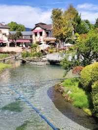 🎶音楽と自然が響き合う！河口湖音楽と森の美術館で優雅なひととき🗻🌹 