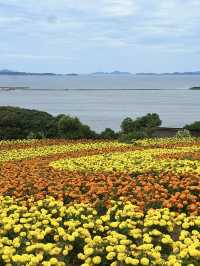 サクッと楽しめる能古島