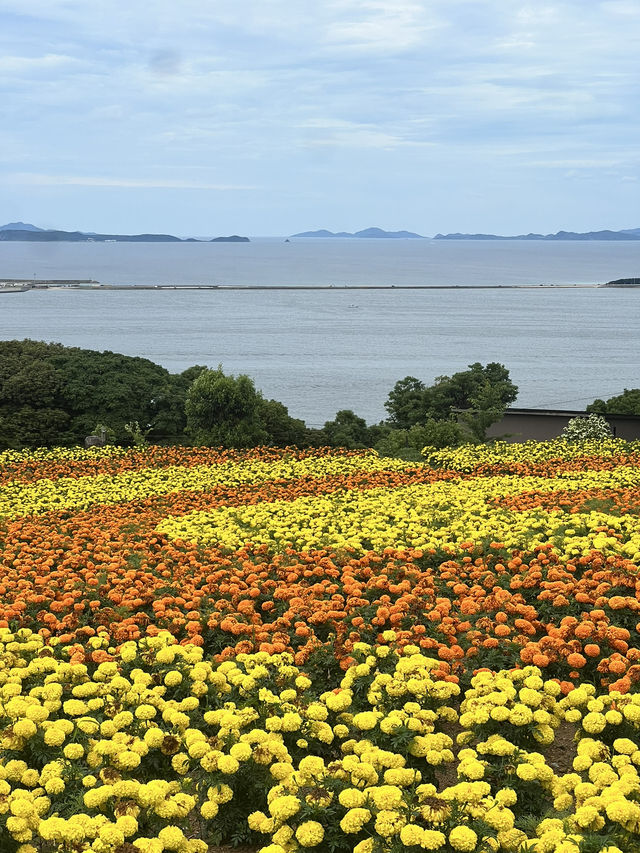 サクッと楽しめる能古島