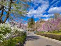 สวนทะคะมัตสึ (Takamatsu Pond Park / 高松の池) 