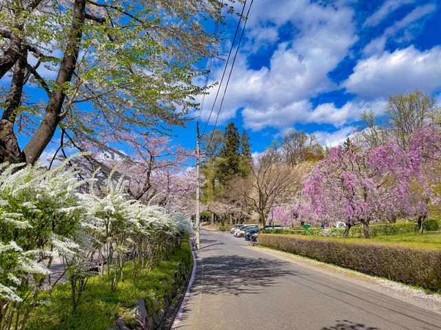 สวนทะคะมัตสึ (Takamatsu Pond Park / 高松の池) 