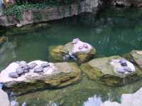 สวนสาธารณะเก่าแก่กลางเกาะฮ่องกง