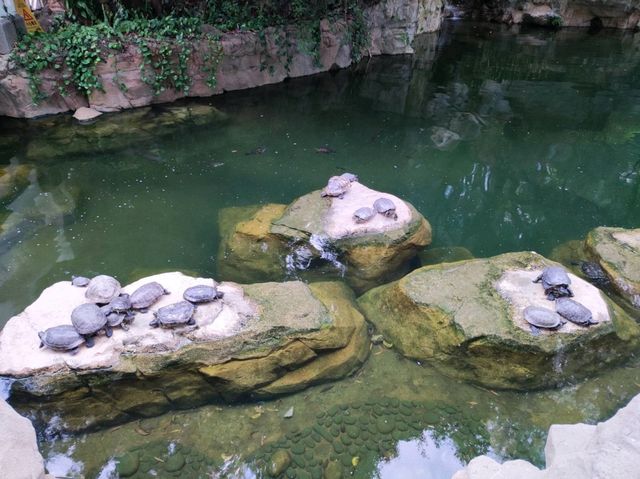 สวนสาธารณะเก่าแก่กลางเกาะฮ่องกง