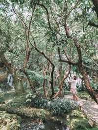 Stepping Into a Fairy Tale in Chiang Mai 🌳🧚‍♀️