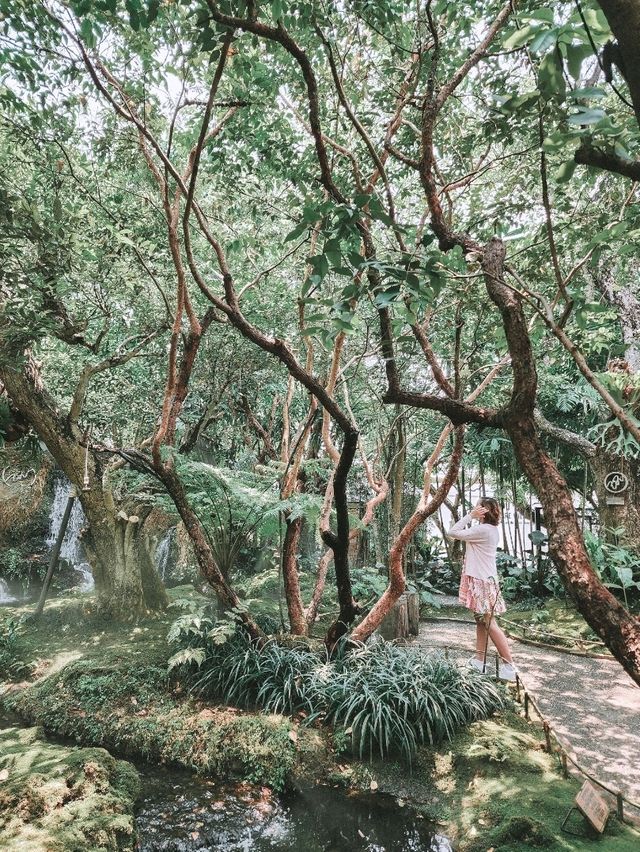 Stepping Into a Fairy Tale in Chiang Mai 🌳🧚‍♀️