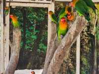 Beach and boutique hotels without the crowds and privetag