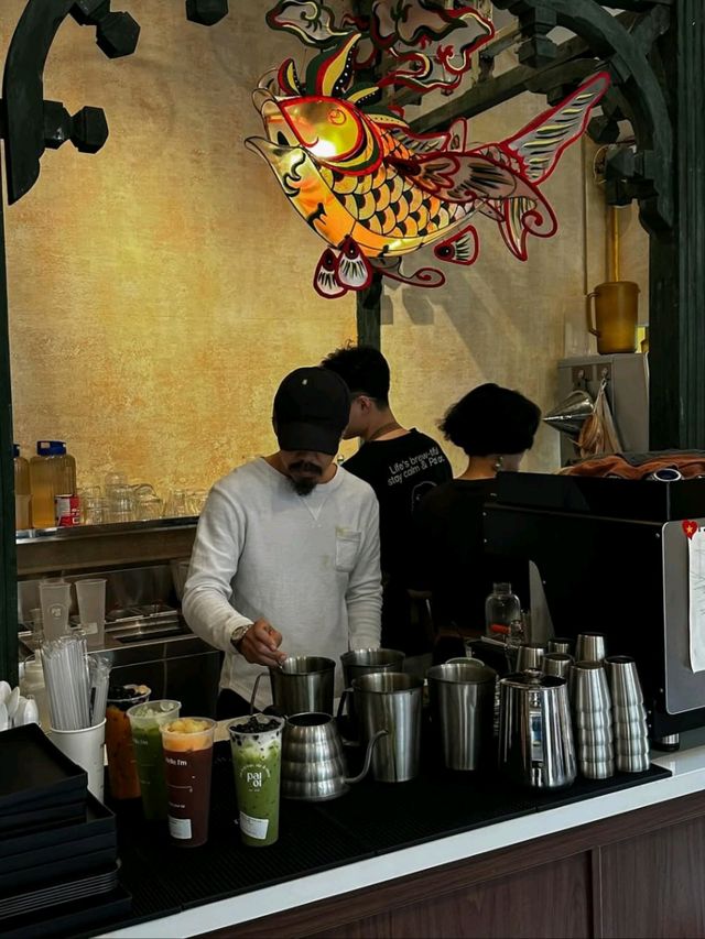 PAI OI at