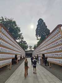 Kamigyo Ward: Where History Breaths Through Imperial Walls