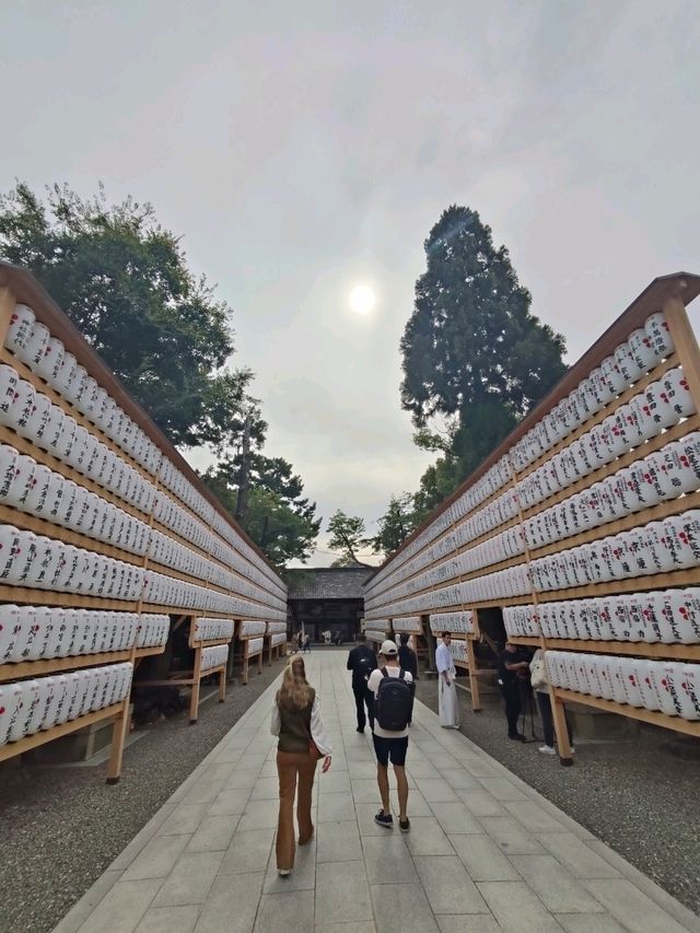 Kamigyo Ward: Where History Breaths Through Imperial Walls